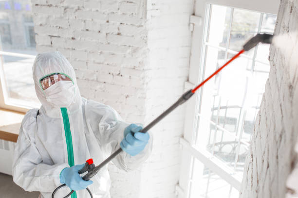 Best Asbestos and Lead Testing During Mold Inspection  in Crescent, OK