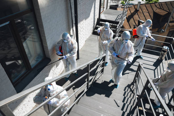 Professional Mold Removal in Crescent, OK