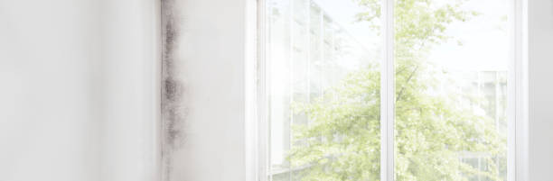 Best Real Estate Mold Inspection  in Crescent, OK