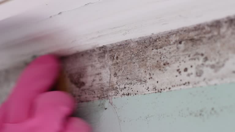 Mold Remediation for Rental Properties in Crescent, OK